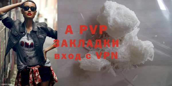 стаф Абаза