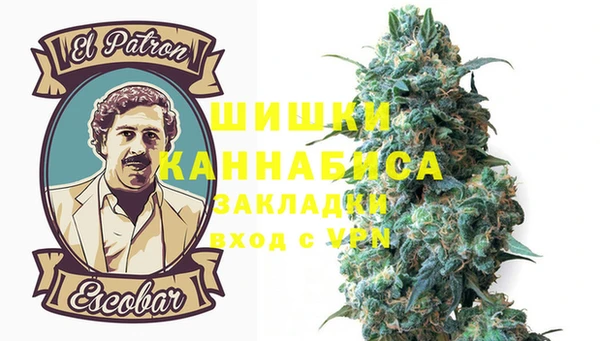 стаф Абаза