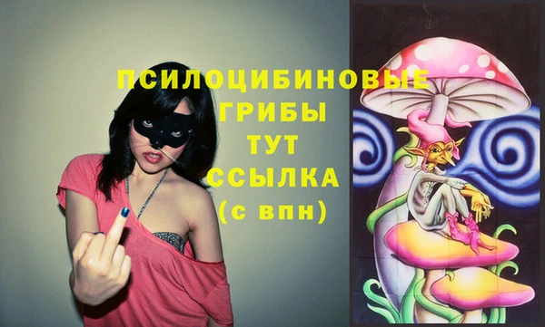 дурь Абинск